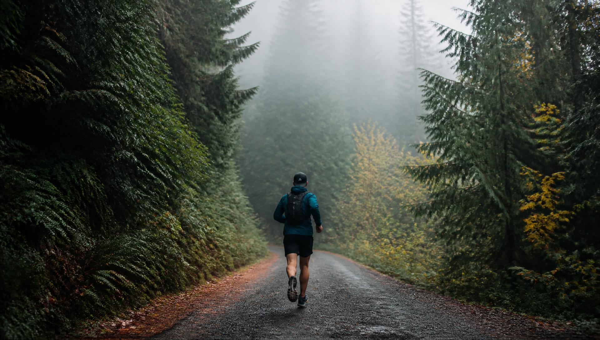 Trail runner on a misty forest road, seen from behind